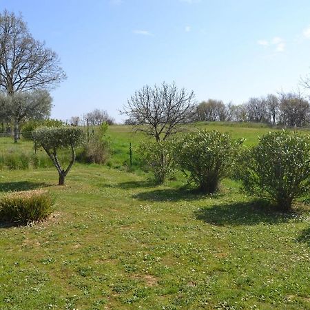 Village De Gites Les Olivettes Saint-Dezery Zewnętrze zdjęcie